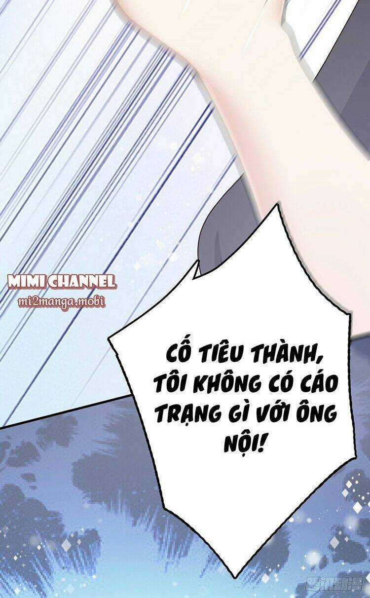 Bà Xã Quyến Rũ Trí Mạng: Tổng Tài Muốn Tái Hôn Chapter 2 trang 4