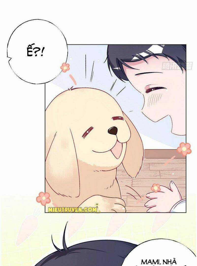 Baba Đẹp Trai Trên Trời Rơi Xuống Chapter 76 trang 3