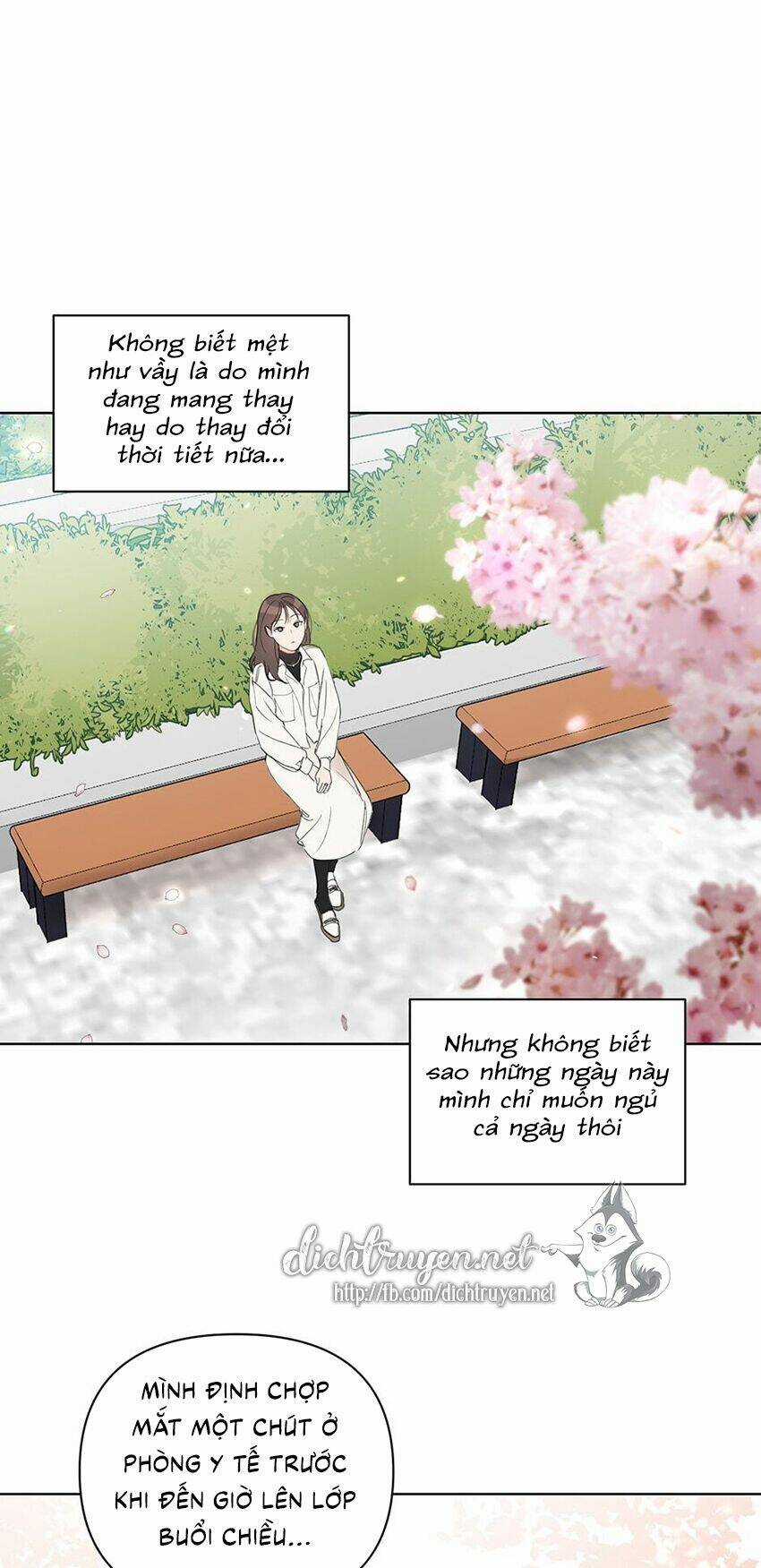 Baby Đến Rồi! Chapter 40 trang 29