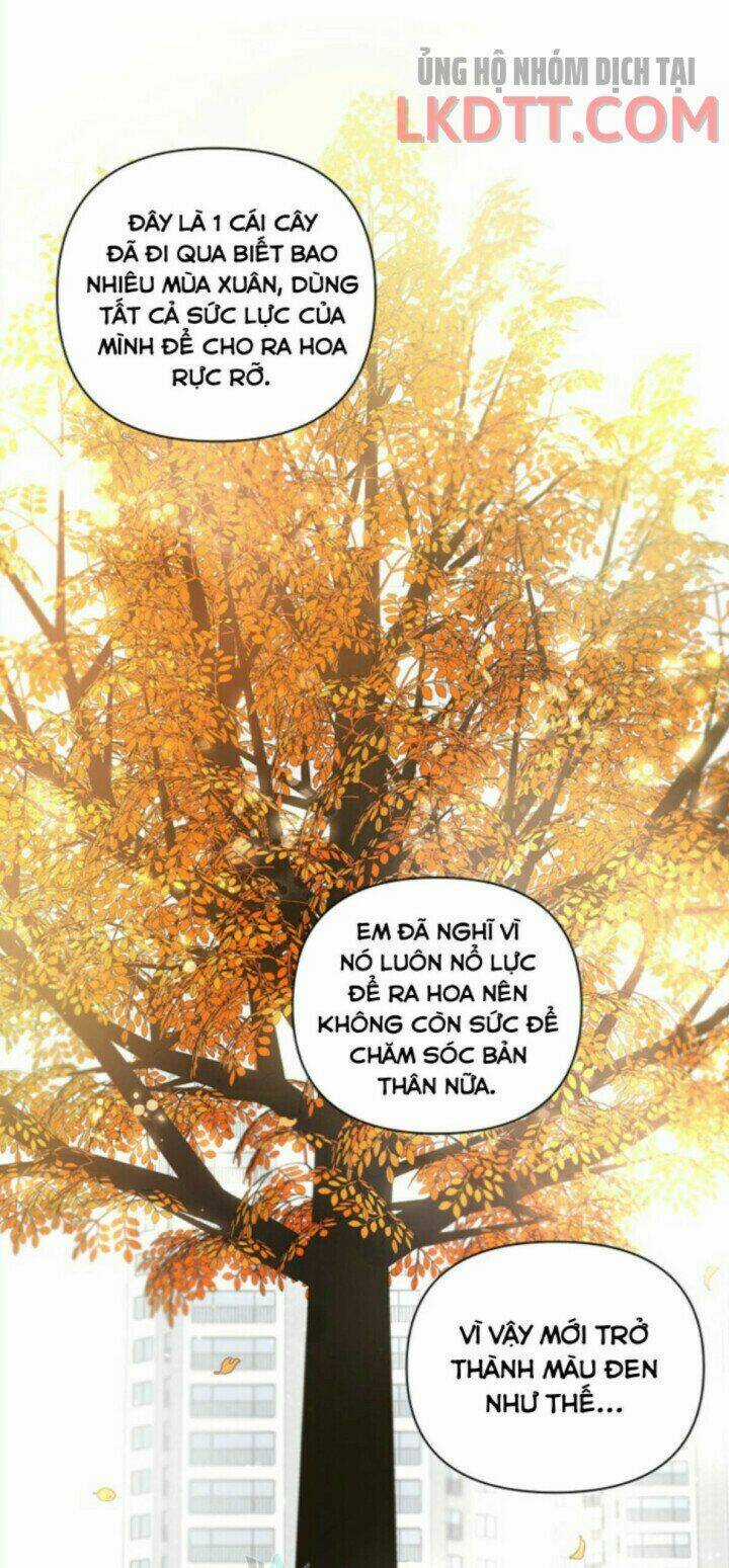 Baby Đến Rồi! Chapter 65 trang 17