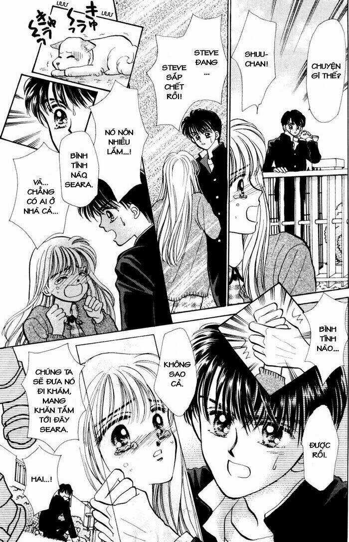 Baby Love Chapter 11 trang 24