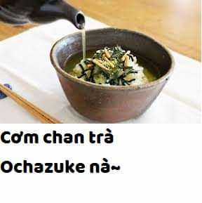 Bác gấu trắng Yakuza và cô công chúa chỉ cần 1 cái bụng no nhanh thật nhanh! Chapter 1.2 trang 15