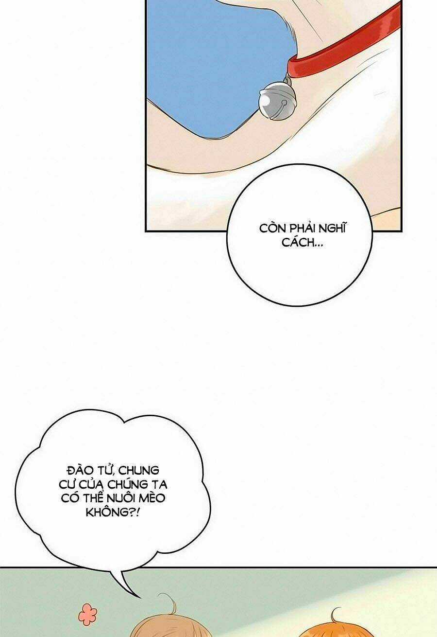 Bạc Hà Chi Hạ 2 Chapter 24 trang 15