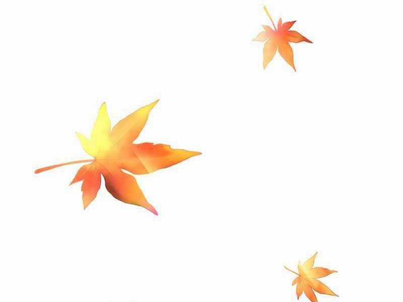 Bác Sĩ Hoàn Hảo Chapter 29 trang 126