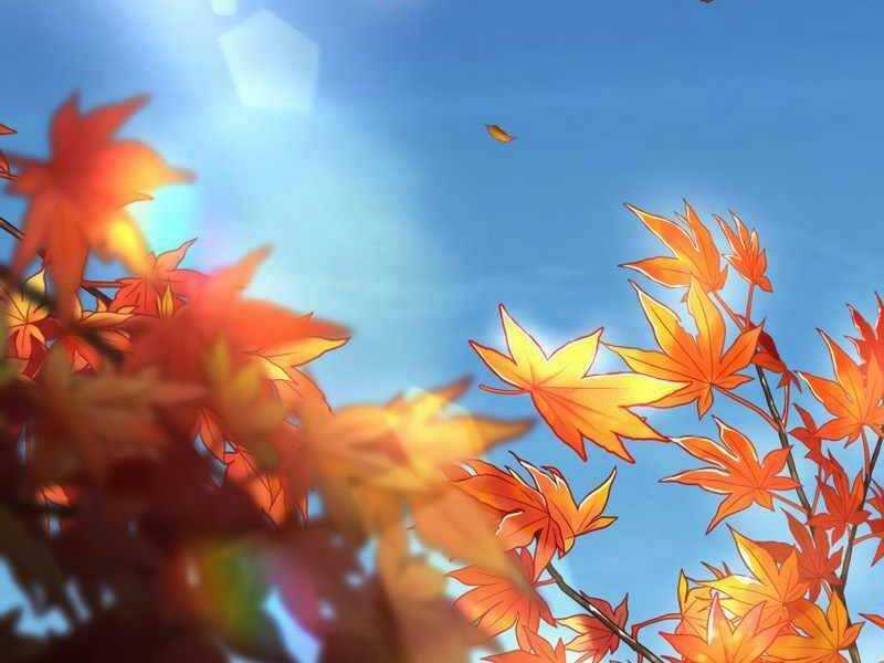 Bác Sĩ Hoàn Hảo Chapter 29 trang 128