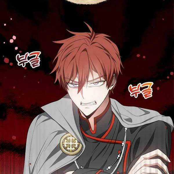 Bác Sĩ Phẫu Thuật Cấp Sss Chapter 65 trang 29