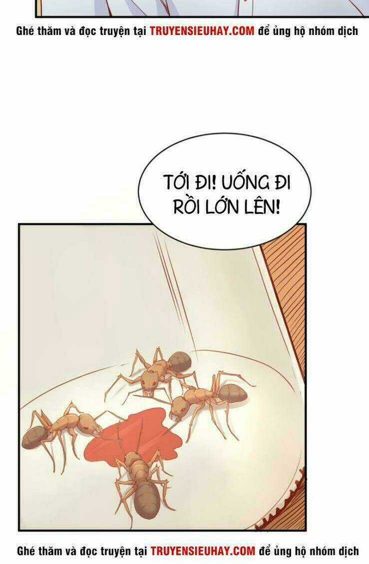 Bác Sĩ Riêng Của Nữ Thần Chapter 14 trang 3