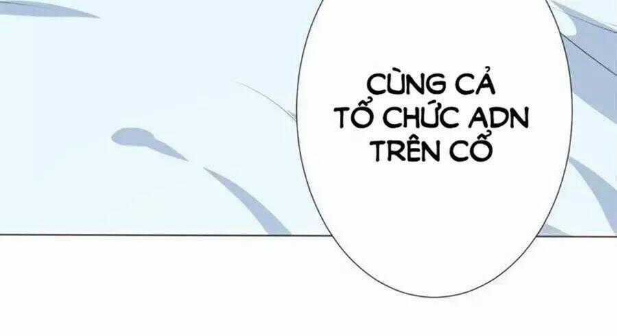 Bác Sĩ Sở Cũng Muốn Yêu Chapter 246 trang 1