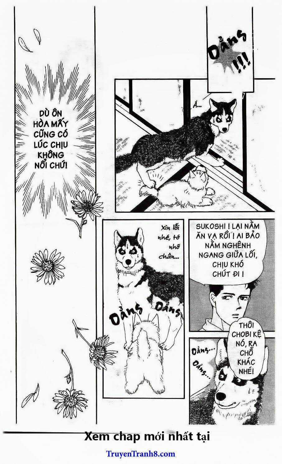 Bác Sĩ Thú Y Chapter 20 trang 15