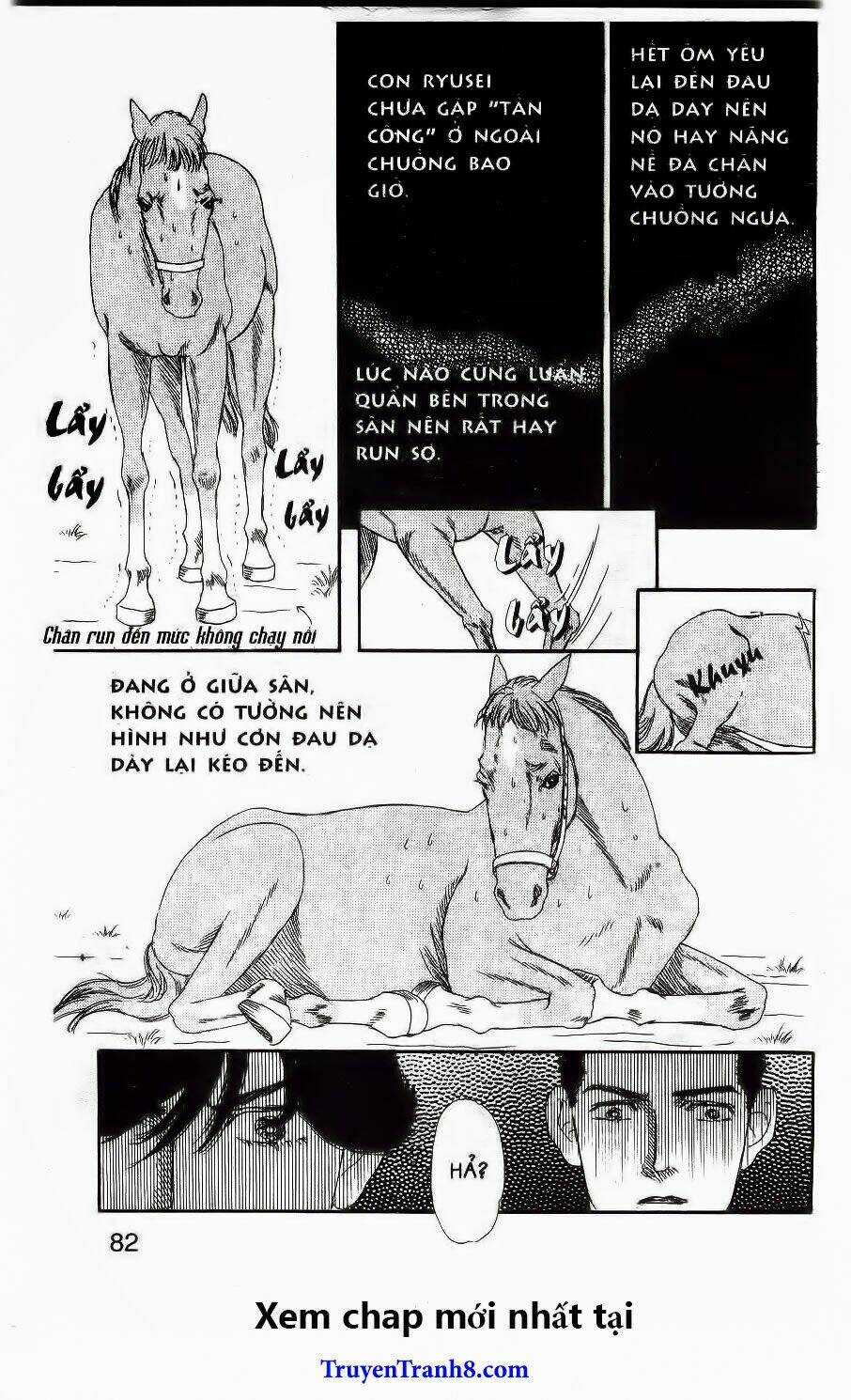 Bác Sĩ Thú Y Chapter 37 trang 12