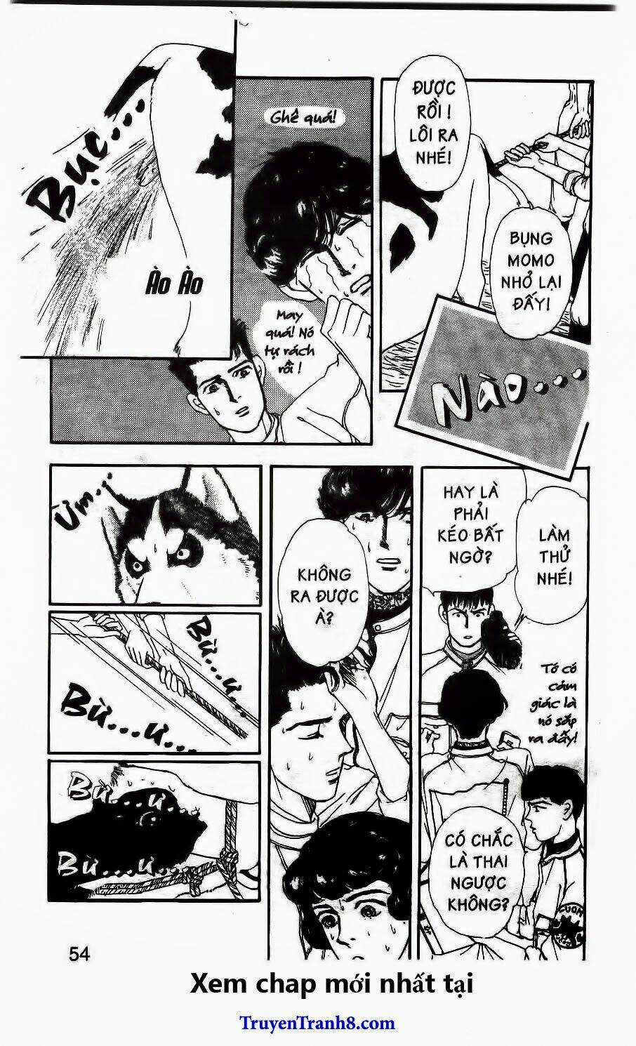 Bác Sĩ Thú Y Chapter 46 trang 12