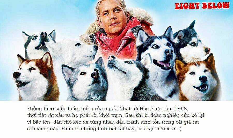 Bác Sĩ Thú Y Chapter 5 trang 16