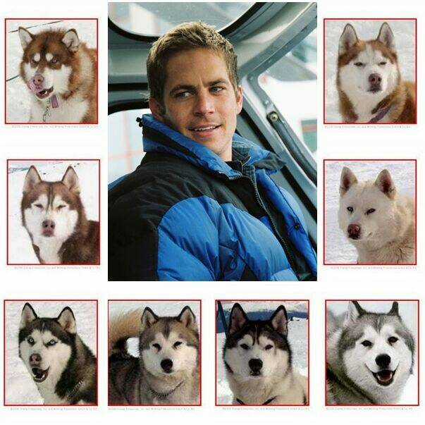 Bác Sĩ Thú Y Chapter 5 trang 17