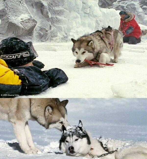 Bác Sĩ Thú Y Chapter 5 trang 18