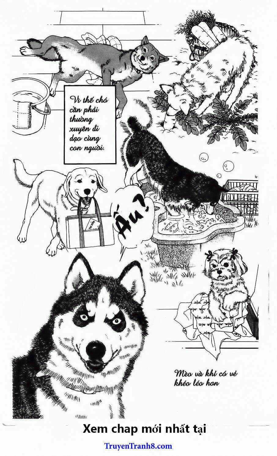 Bác Sĩ Thú Y Chapter 80 trang 25