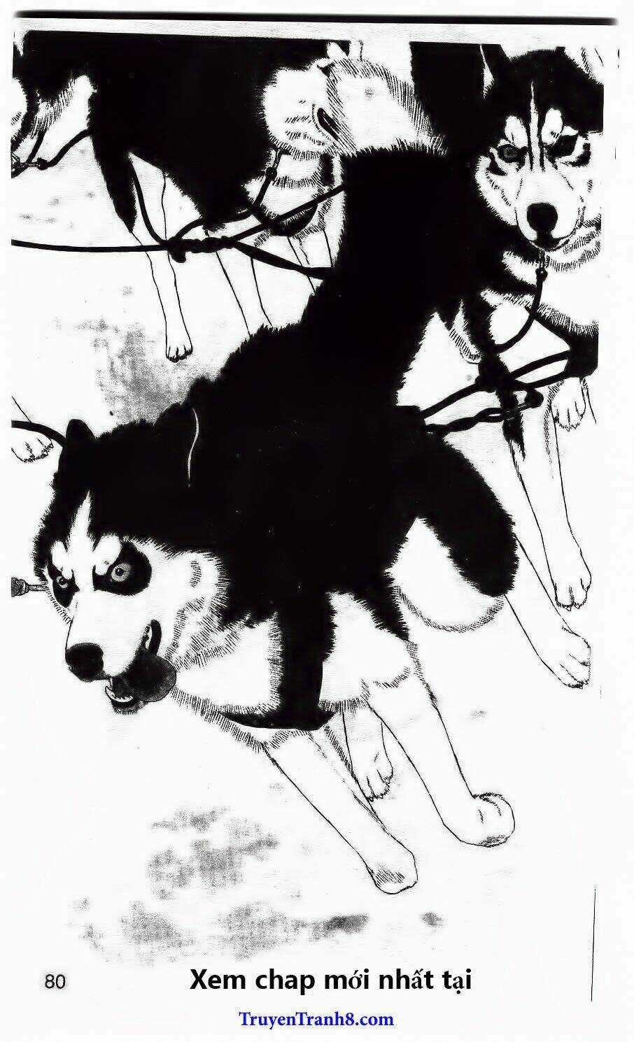 Bác Sĩ Thú Y Chapter 85 trang 4