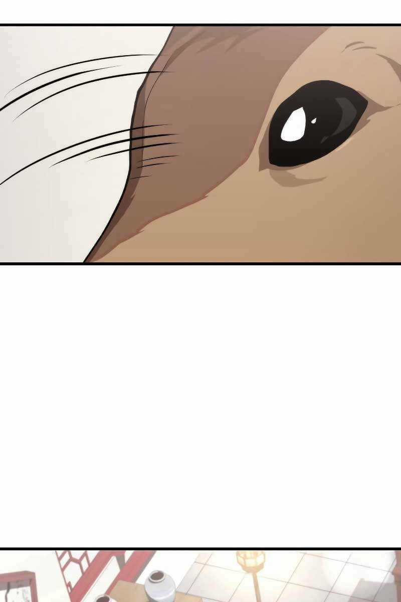 Bác Sĩ Trùng Sinh Về Murim Chapter 112 trang 21