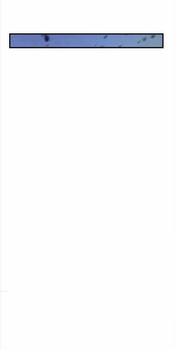 Bác Sĩ Trùng Sinh Về Murim Chapter 127 trang 58