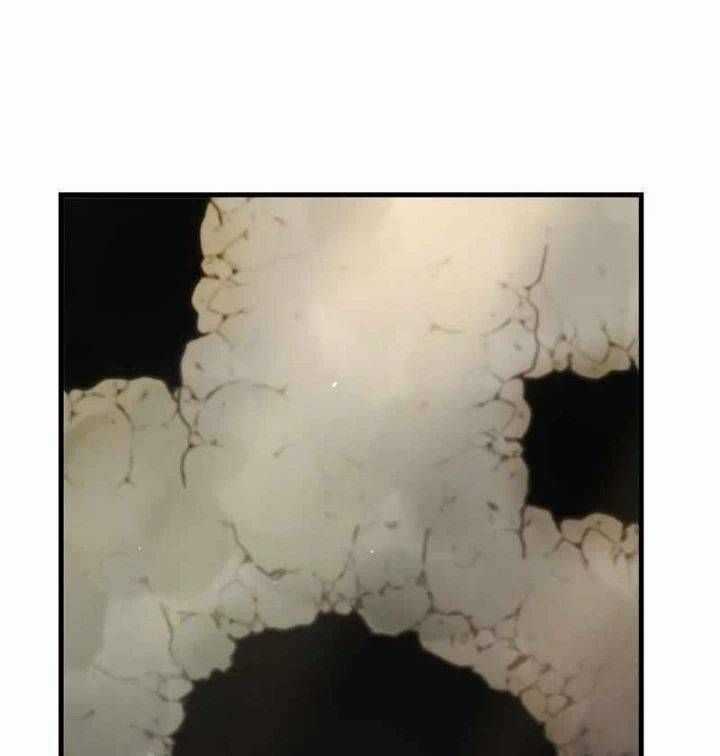 Bác Sĩ Trùng Sinh Về Murim Chapter 144 trang 120