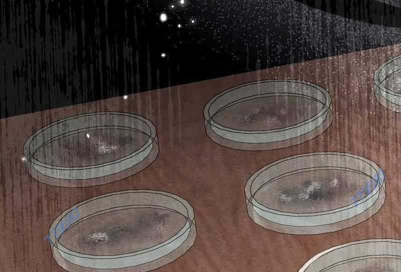 Bác Sĩ Trùng Sinh Về Murim Chapter 148 trang 5