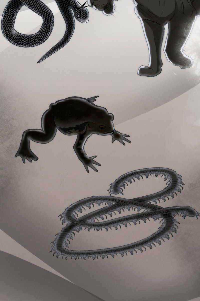 Bác Sĩ Trùng Sinh Về Murim Chapter 99 trang 38