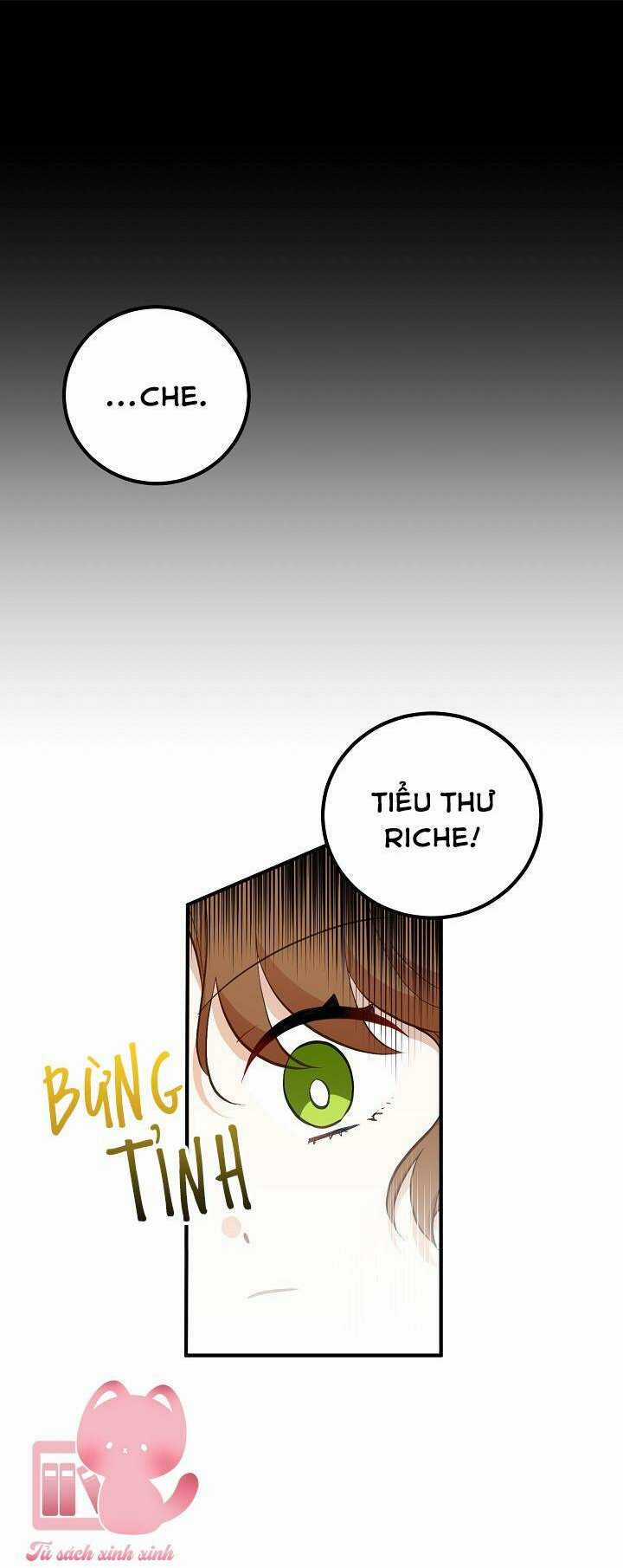 Bác Sĩ Tư Nhân Xin Từ Chức Chapter 14 trang 41