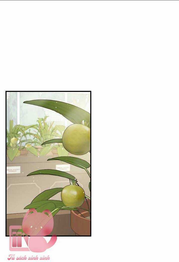 Bác Sĩ Tư Nhân Xin Từ Chức Chapter 19 trang 31