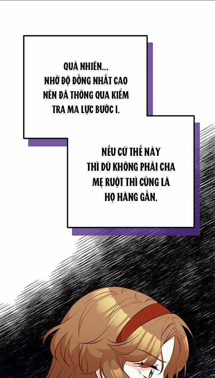 Bác Sĩ Tư Nhân Xin Từ Chức Chapter 29 trang 33