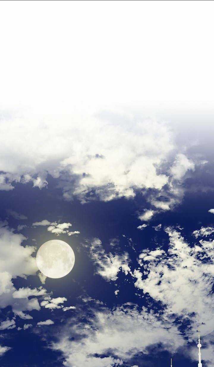 Bác Sĩ Tư Nhân Xin Từ Chức Chapter 31 trang 2