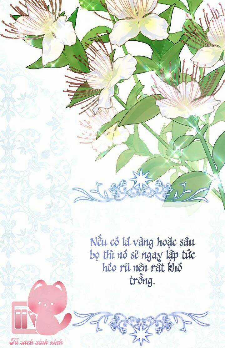 Bác Sĩ Tư Nhân Xin Từ Chức Chapter 39 trang 8