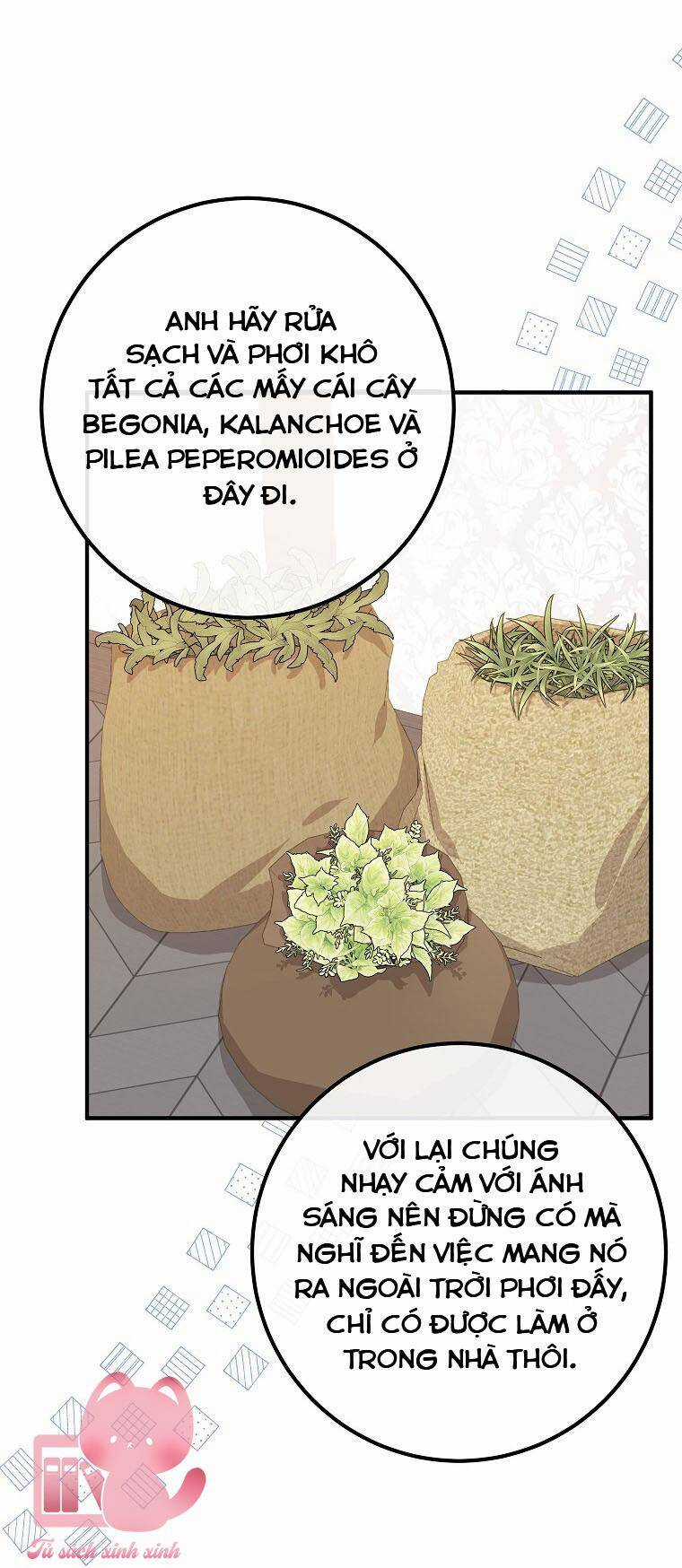 Bác Sĩ Tư Nhân Xin Từ Chức Chapter 60 trang 23