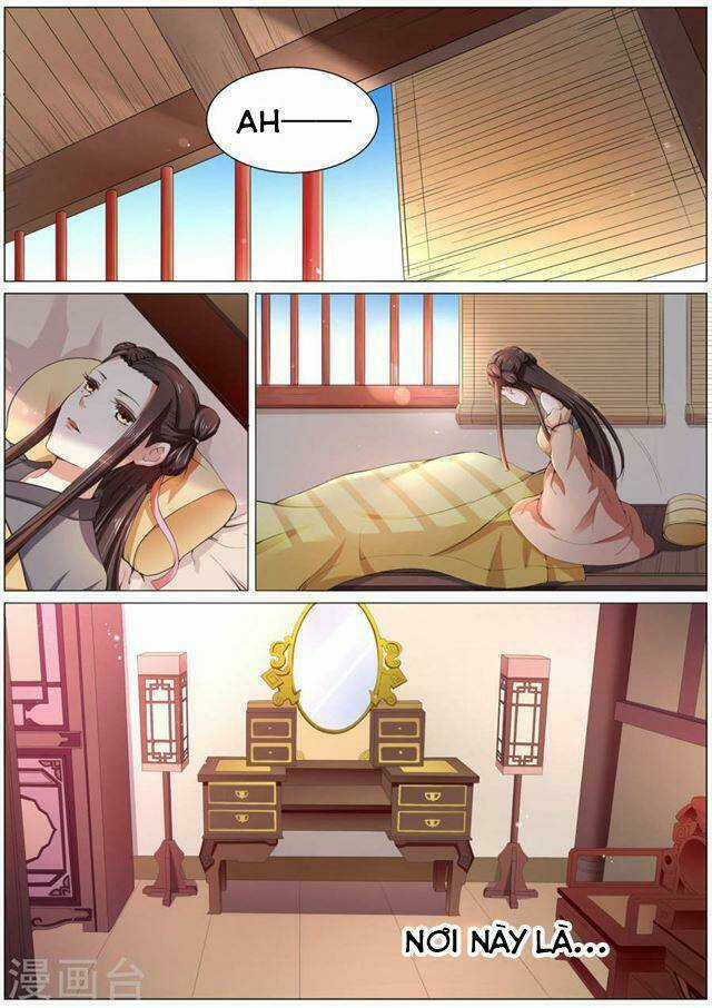 Bạch Chỉ Y Tiên Chapter 1 trang 5