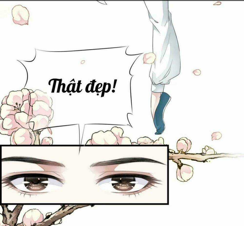 Bạch Liên Yêu Cơ Người Chapter 26 trang 4