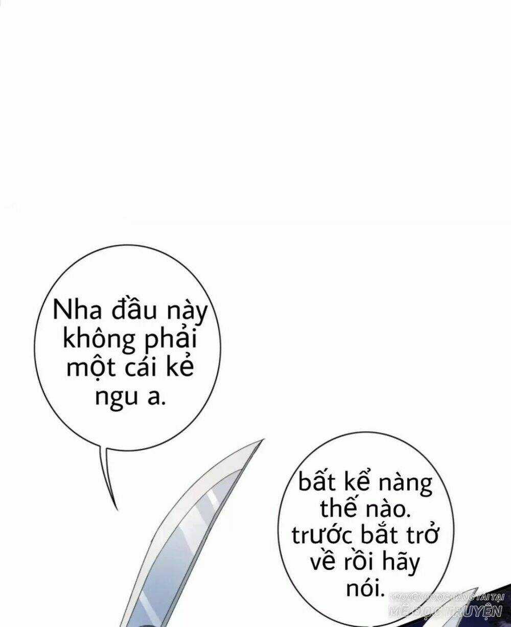 Bạch Liên Yêu Cơ Người Chapter 4 trang 23