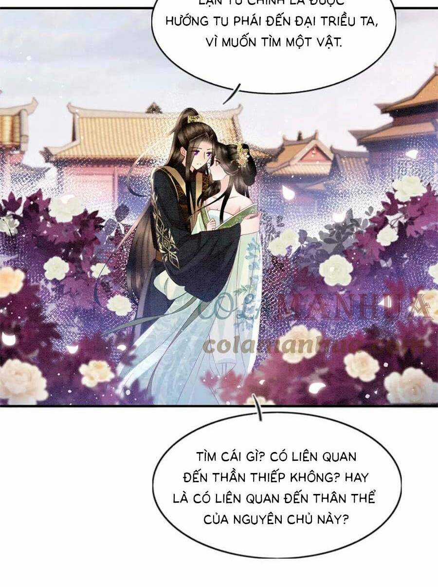 Bạch Nguyệt Quang Lạm Quyền Của Sủng Hậu Chapter 104 trang 7