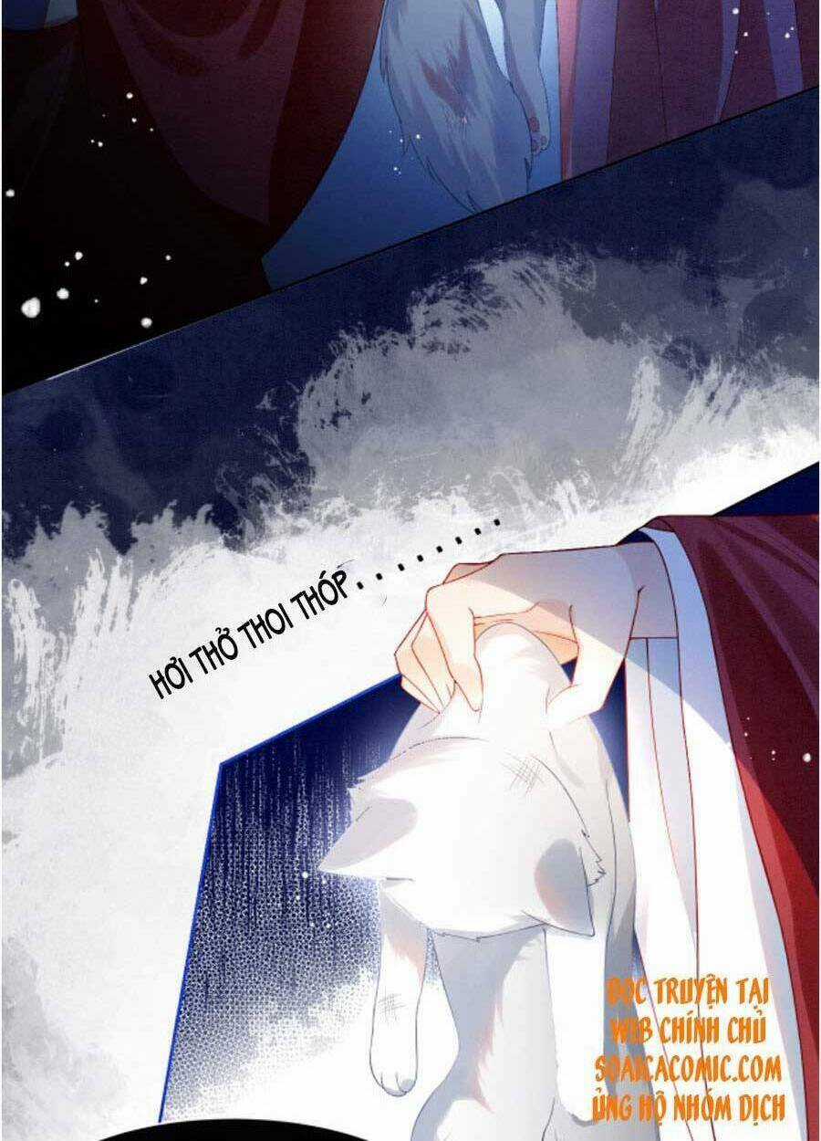 Bạch Nguyệt Quang Lạm Quyền Của Sủng Hậu Chapter 21 trang 4