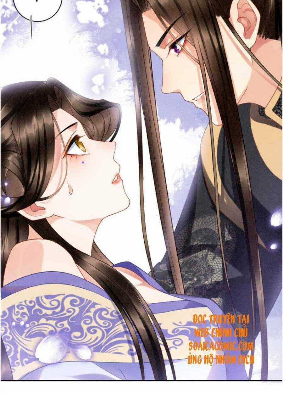 Bạch Nguyệt Quang Lạm Quyền Của Sủng Hậu Chapter 24 trang 15