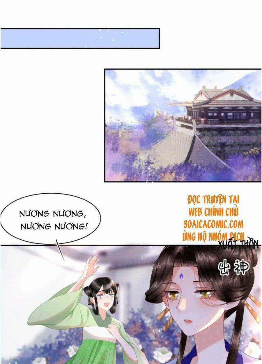 Bạch Nguyệt Quang Lạm Quyền Của Sủng Hậu Chapter 24 trang 17