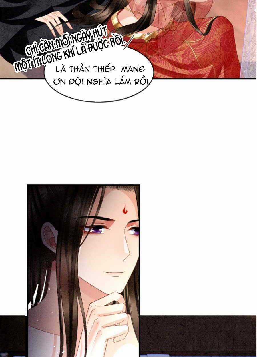 Bạch Nguyệt Quang Lạm Quyền Của Sủng Hậu Chapter 27 trang 16
