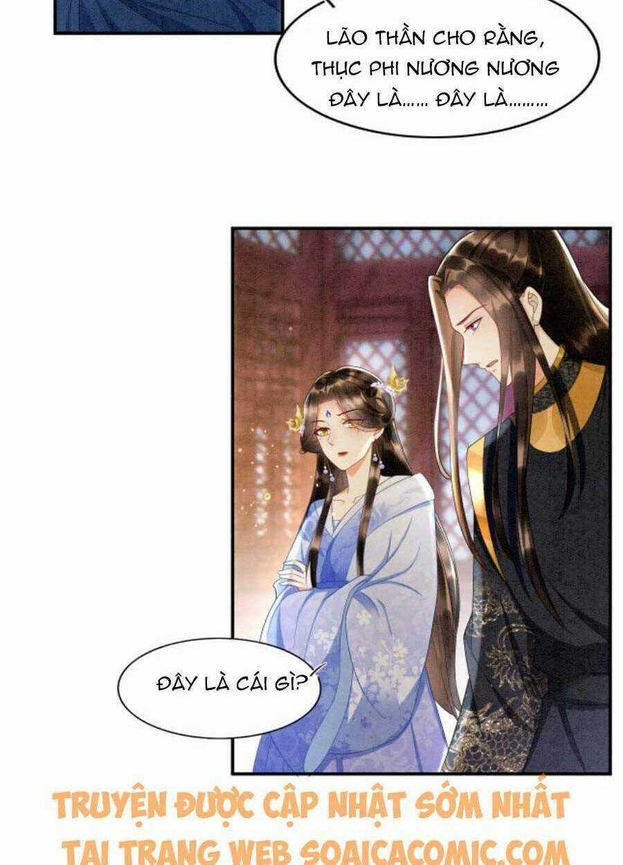 Bạch Nguyệt Quang Lạm Quyền Của Sủng Hậu Chapter 27 trang 41