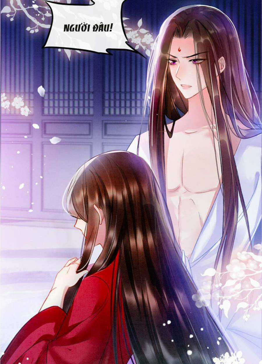 Bạch Nguyệt Quang Lạm Quyền Của Sủng Hậu Chapter 3 trang 30