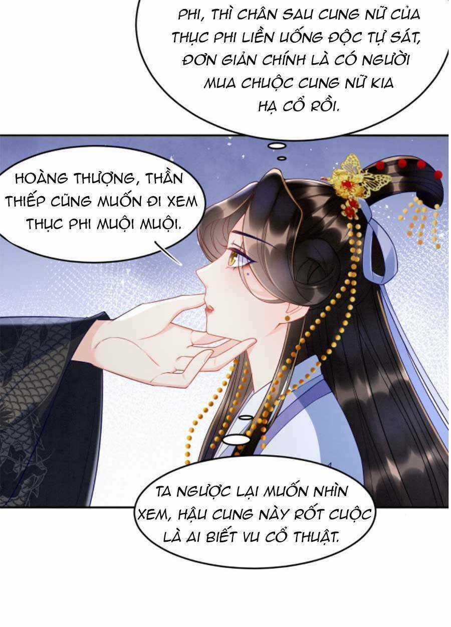 Bạch Nguyệt Quang Lạm Quyền Của Sủng Hậu Chapter 33 trang 19