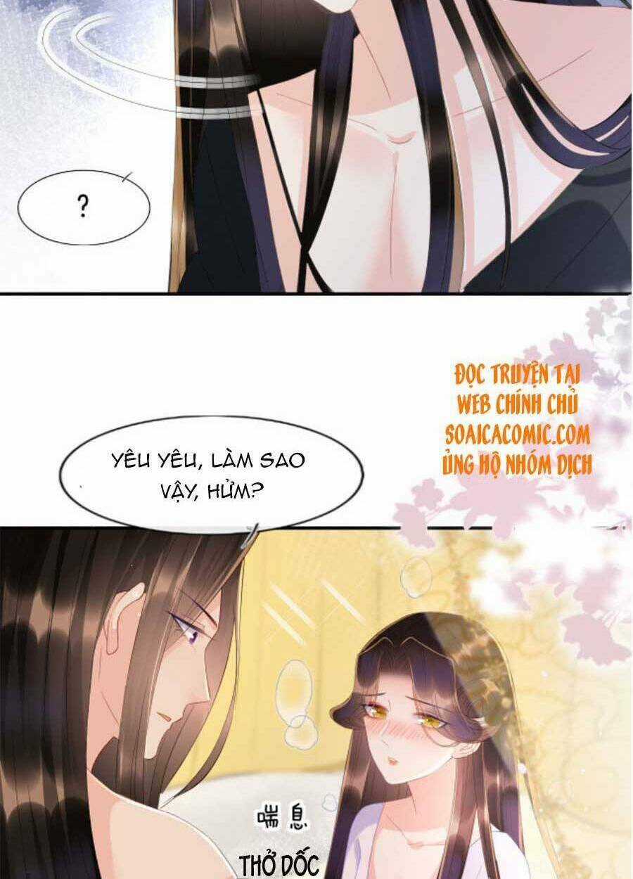 Bạch Nguyệt Quang Lạm Quyền Của Sủng Hậu Chapter 37 trang 14