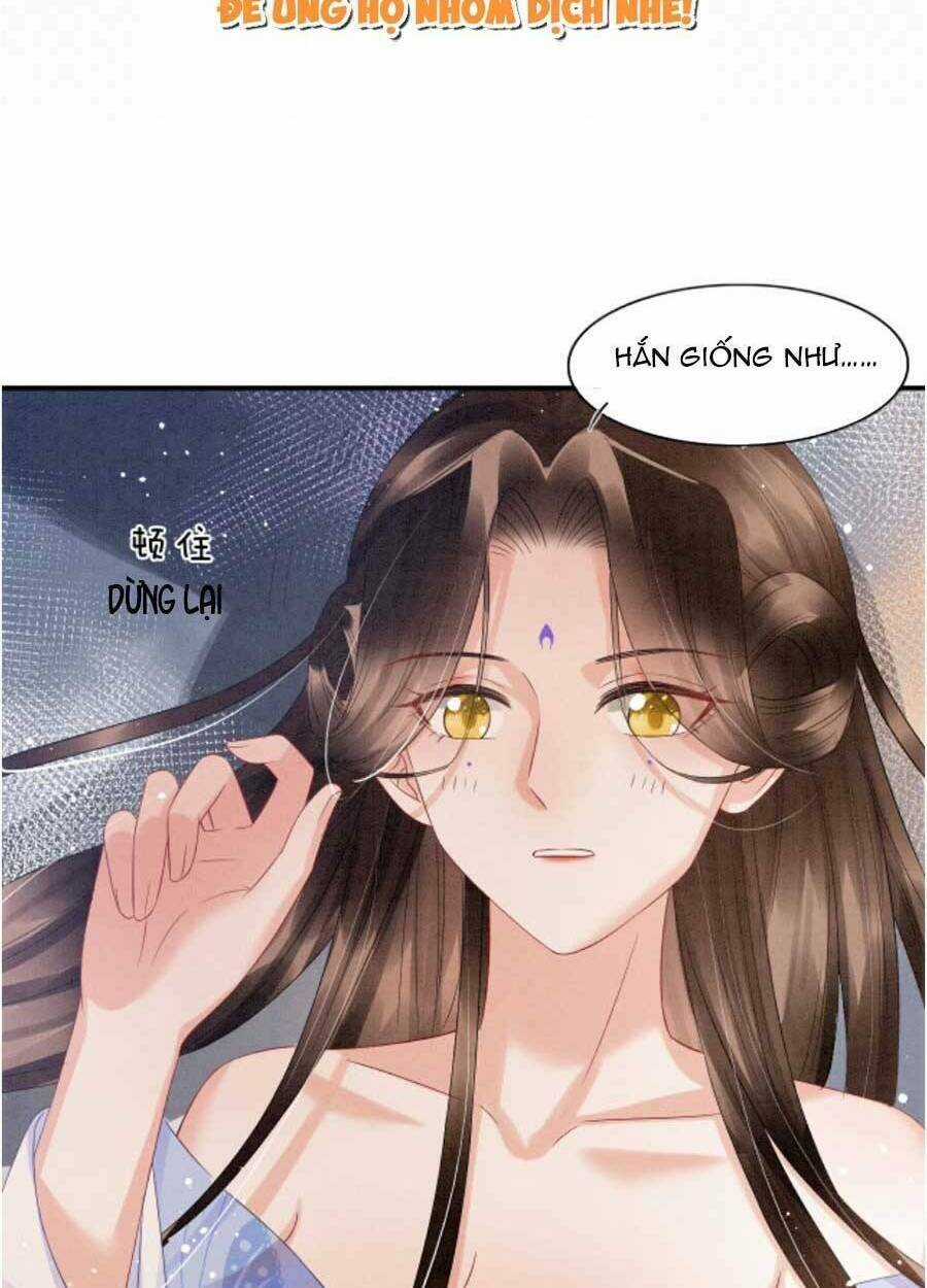 Bạch Nguyệt Quang Lạm Quyền Của Sủng Hậu Chapter 49 trang 20