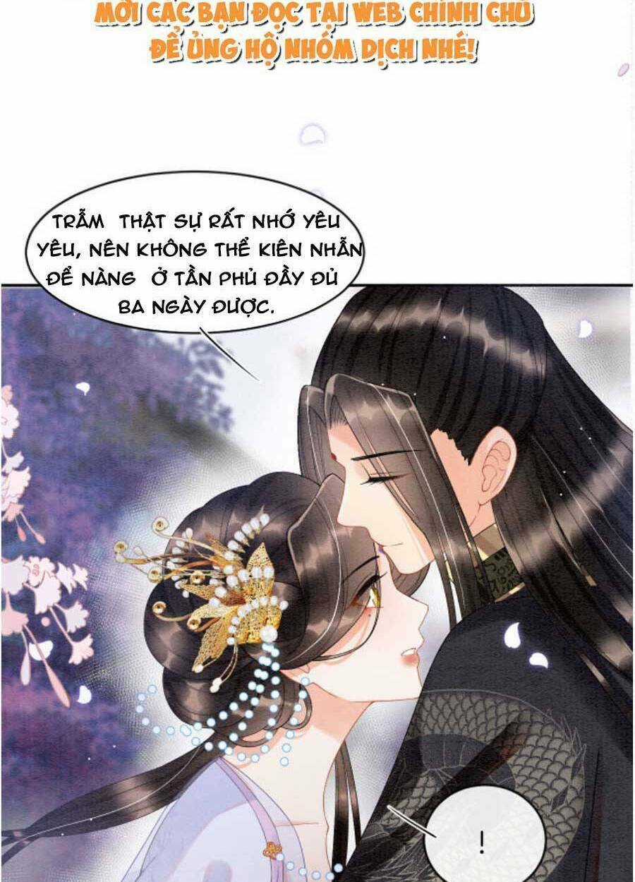 Bạch Nguyệt Quang Lạm Quyền Của Sủng Hậu Chapter 51 trang 11