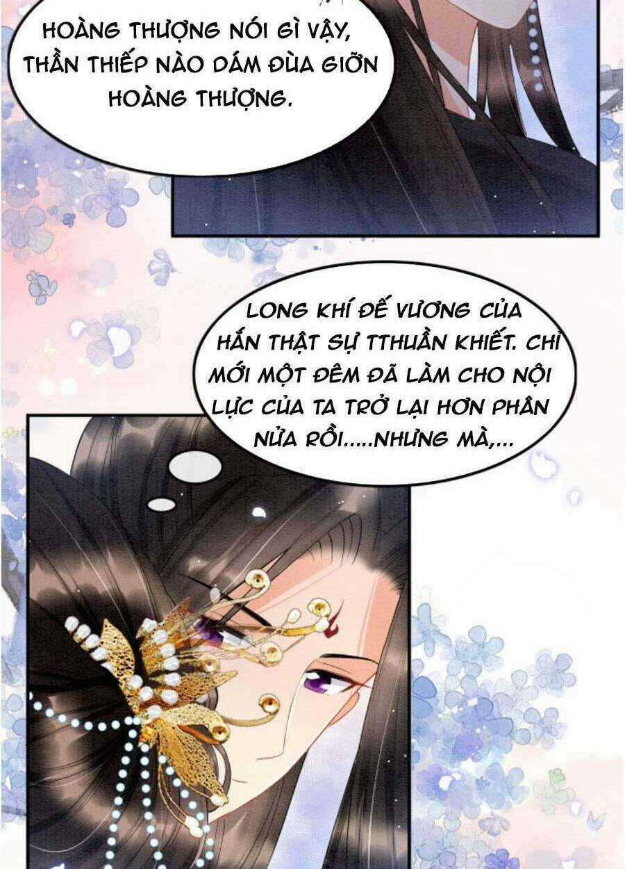 Bạch Nguyệt Quang Lạm Quyền Của Sủng Hậu Chapter 51 trang 26