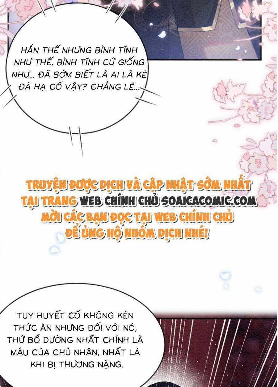 Bạch Nguyệt Quang Lạm Quyền Của Sủng Hậu Chapter 57 trang 38