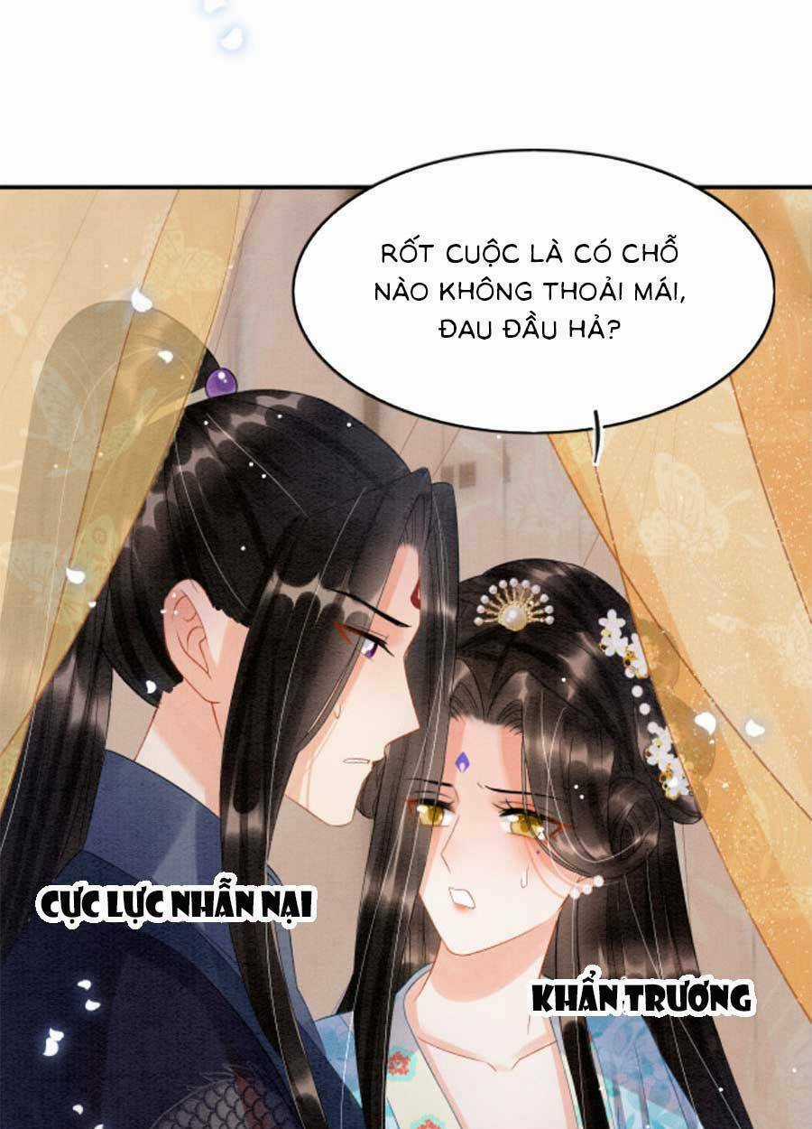 Bạch Nguyệt Quang Lạm Quyền Của Sủng Hậu Chapter 67 trang 17