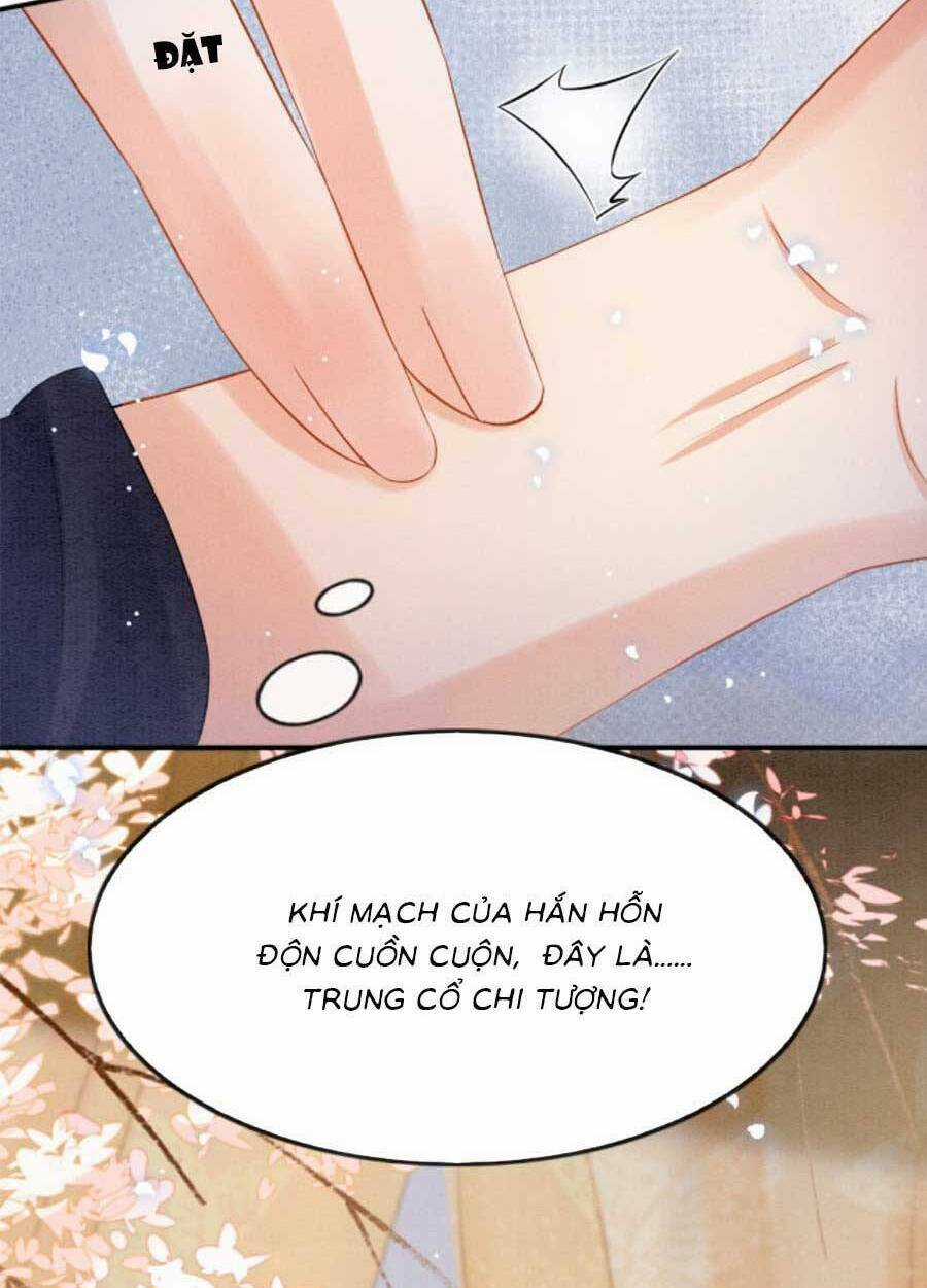 Bạch Nguyệt Quang Lạm Quyền Của Sủng Hậu Chapter 67 trang 19