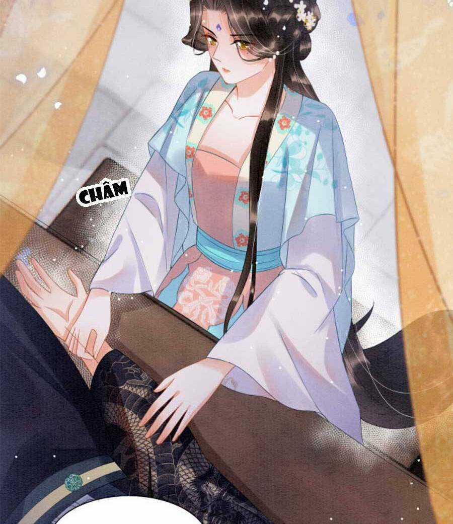 Bạch Nguyệt Quang Lạm Quyền Của Sủng Hậu Chapter 67 trang 23